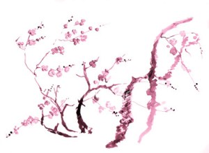 ist2_396513-cherry-blossom-drawing
